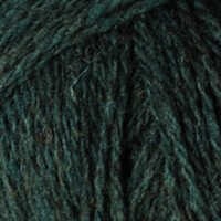 Xarxet (Teal)