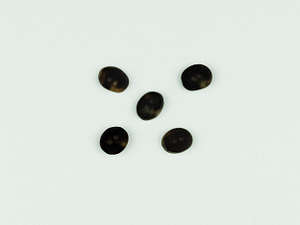 Polished horn buttons