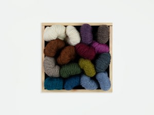 WYS Bluefaced Leicester DK
