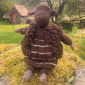 Agi the Sheep