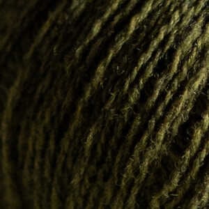 Falguera (Fern)