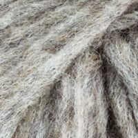 Grey Brown Wild Rabbit 147