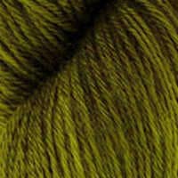 Moosbedeckter Walboden