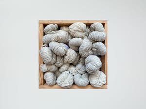 Wool Dreamers Breeds