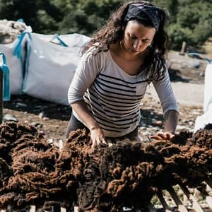 Activistas de la lana.